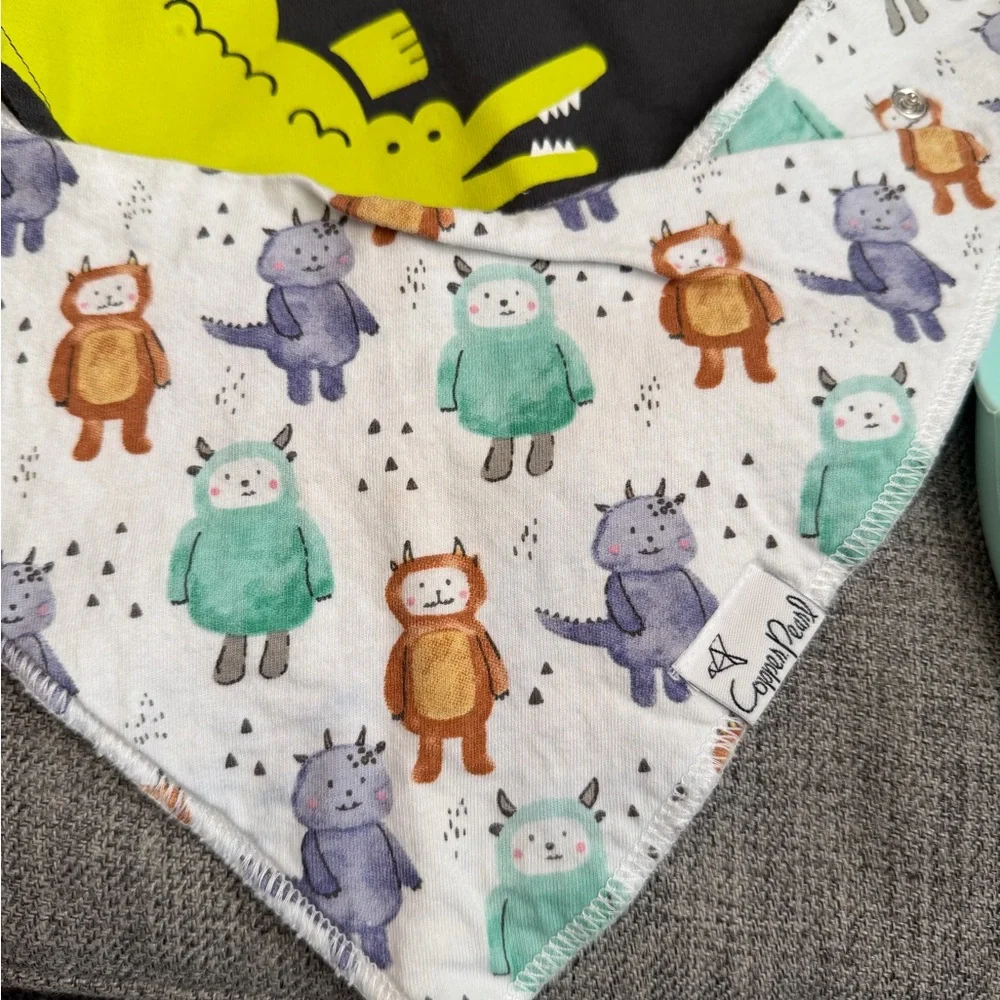6 cloth bibs and 2 Silicone Baby Bib Set (8 total) GUC Mixed Brands